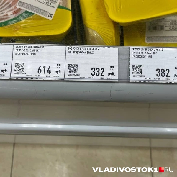 Источник: Елена Буйвол / VLADIVOSTOK1.RU