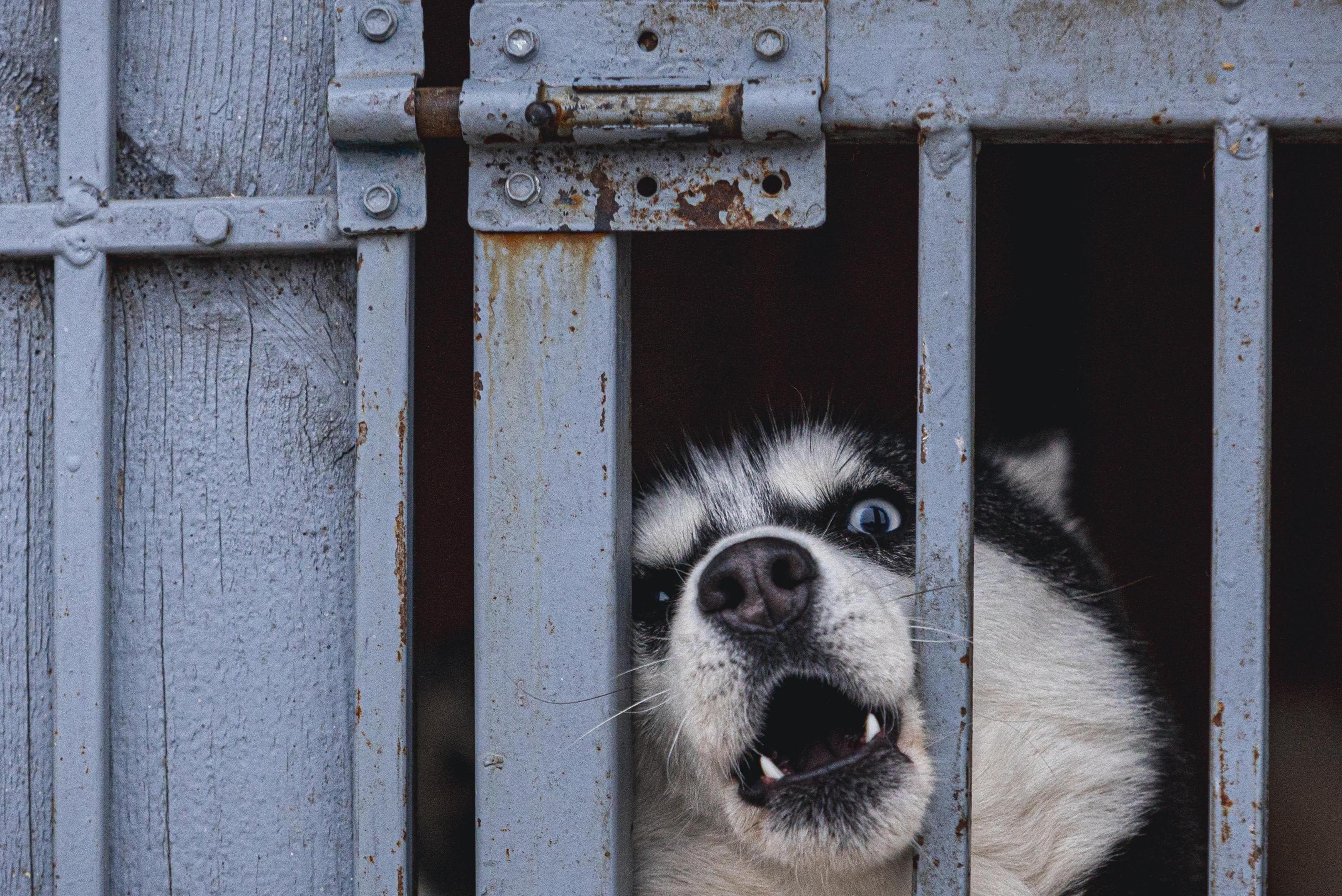 �������� &laquo;����������&raquo;, ��� ������ �������� ������������ � ���������� �� �������, ���������� ����� �����