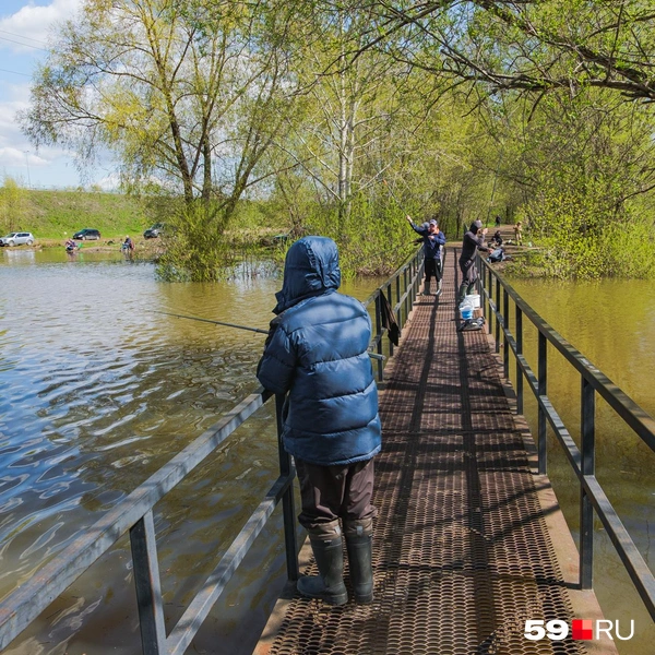 Рыбаки быстро подсуетились и приехали на Мулянку | Источник: Тимофей Калмаков / 59.RU