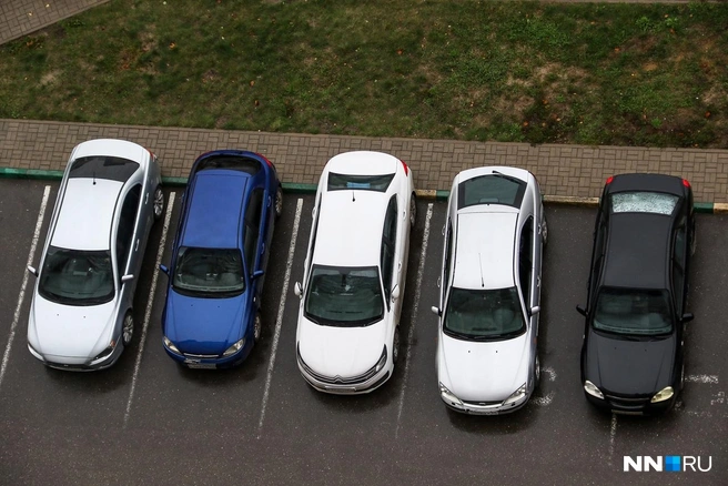 Нижегородец назвал сразу 7 вариантов для покупки | Источник: Наталья Бурухина / NN.RU