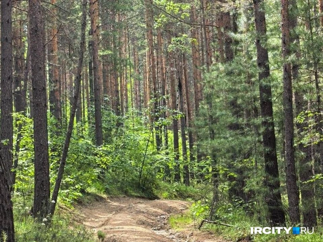 «ИрСити» рассказывает, куда поехать на выходные без машины | Источник: Алёна Кашпарова / «ИрСити»