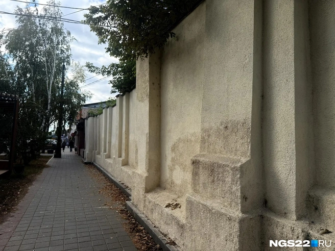 Источник: Полина Шевчукова / NGS22.RU