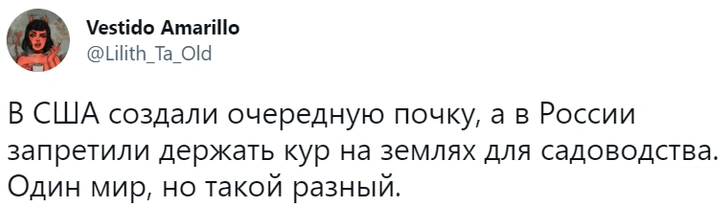 Лучшие шутки о запрете разводить кур в садах и огородах