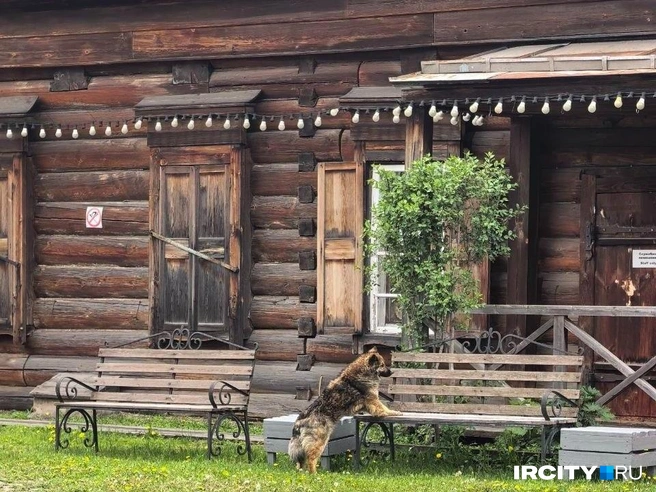 Тест на знание топонимики Иркутской области | Источник: Алёна Кашпарова / «ИрСити»