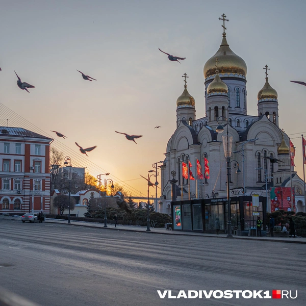 Источник: Алиса Князева / VLADIVOSTOK1.RU