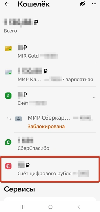 Источник: Полина Авдошина / Городские медиа