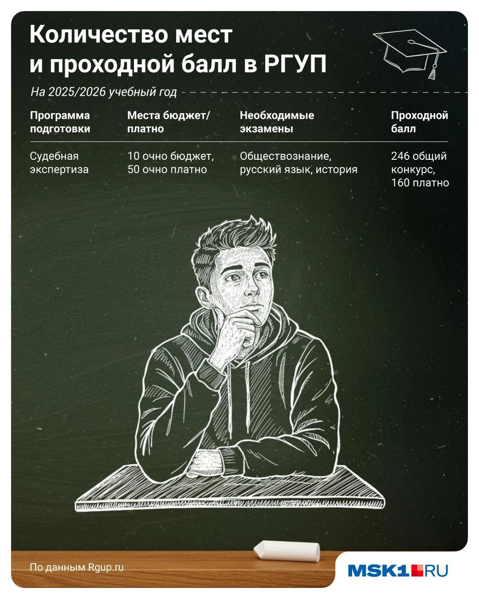 Источник: Полина Авдошина / Городские медиа