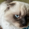userpic__yuliyavaluyeva