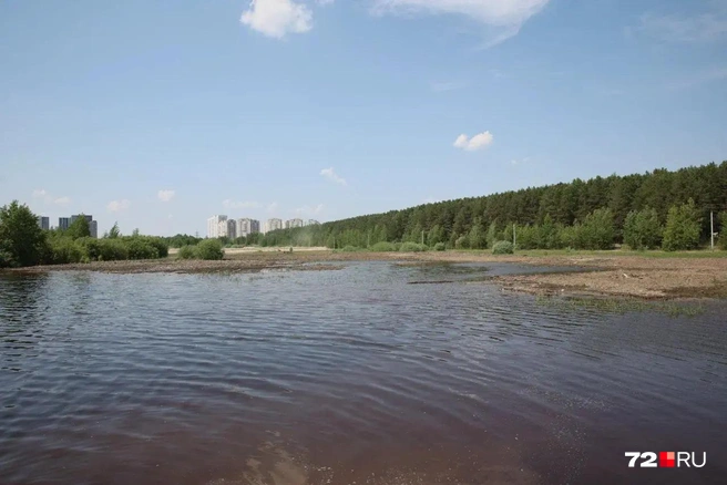 Пляж делают на озере Круглом, недалеко от границ Гагаринского парка. До него еще нужно добраться  | Источник: Ирина Шарова / 72.RU 