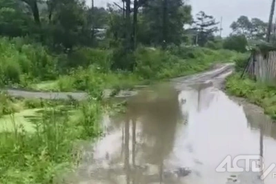 Владелец участка на Сахалине засыпал канаву и подтопил село
