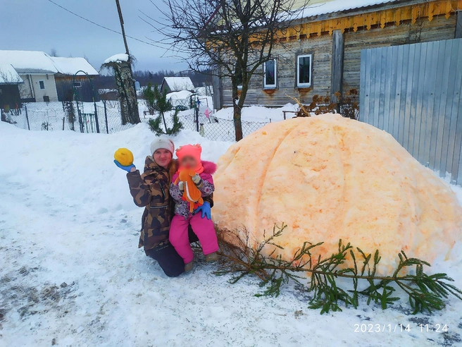 На фото — та самая победная тыква, благодаря которой Анжелика с семьей заняли первое место в конкурсе и получили в подарок специальные семена | Источник: Анжелика Л / Vk.com