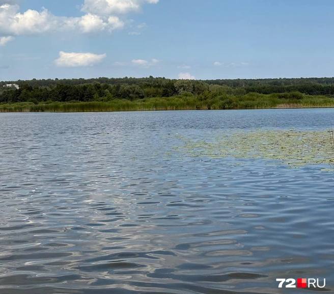 Специалист работала на водоеме и внезапно перестала выходить на связь | Источник: Мария Токмакова / 72.RU
