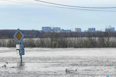 Уровень Оки в Рязани за день упал на 3 см