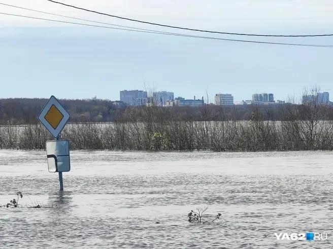 Уровень Оки снизился в Рязани, но поднялся в других городах региона | Источник: Кристина Мельникова / YA62.RU