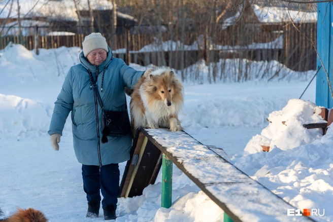 В городах, правда, не хватает собачьих площадок, но решит ли эту проблему новый ГОСТ&nbsp;— большой вопрос | Источник: Владислав Лоншаков / E1.RU
