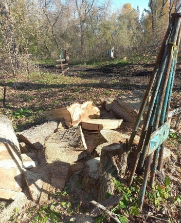 Источник: администрация Тюмени