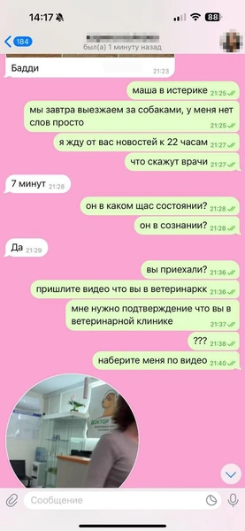 Но вскоре Мария не смогла участвовать в разговоре из-за нахлынувших чувств | Источник: Родион Проводин
