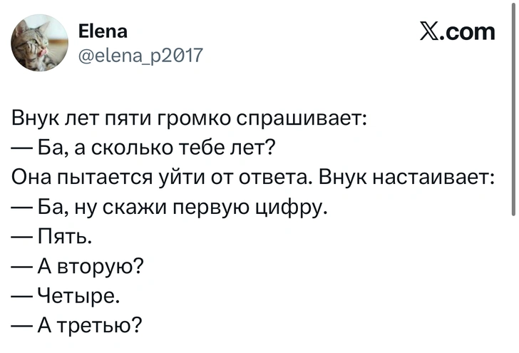 Источник: X (Twitter)