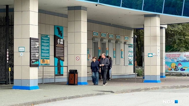 Разбор завалов и проверки: что известно о пожаре в новосибирском зоопарке — хроника | Источник: Анастасия Медведева / NGS.RU