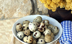 Чем полезны перепелиные яйца?