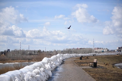 В Курганской области проверят все дамбы перед паводком