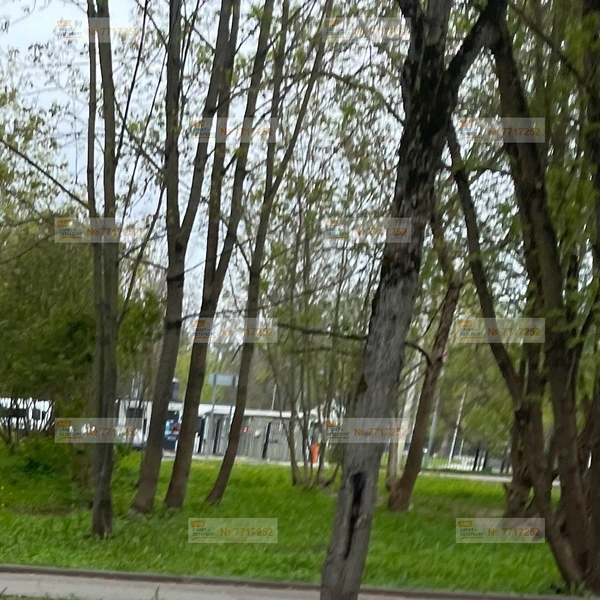 Источник: Портал «Наш Санкт-Петербург»