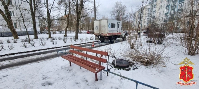 В Луге водитель спецтранспорта не заметил и сбил пенсионерку. Женщина умерла от сердечного приступа  | Источник: ГУ МВД по Петербургу и Ленобласти