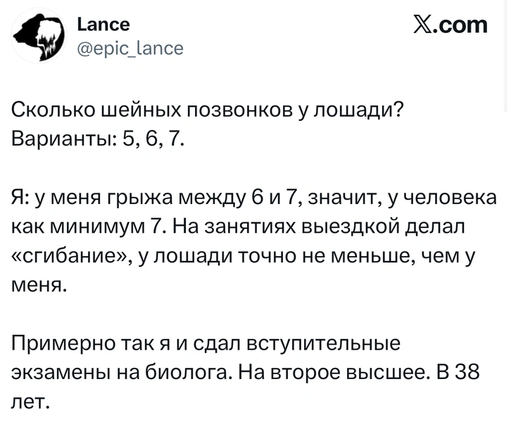 Источник: X (Twitter)