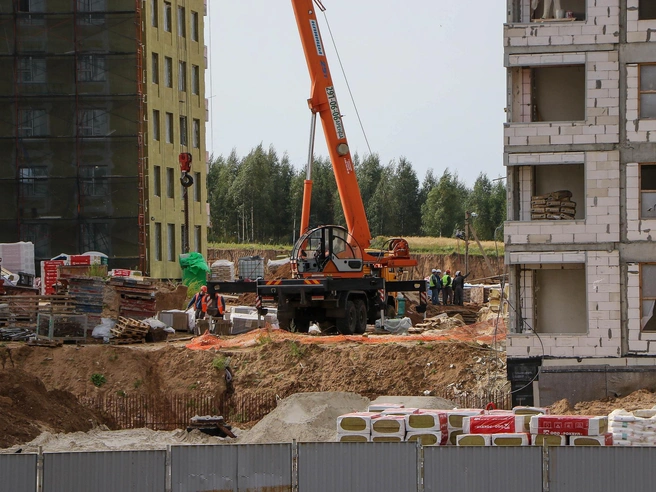 Новый микрорайон у парка «Дубки» хотят построить в Нижнем Новгороде к 2040 году | Источник: Наталья Бурухина / NN.RU (архивное фото)