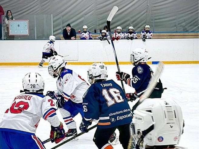 Источник: silverlions.ska.ru