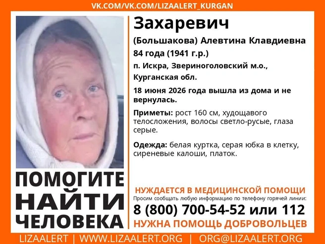 Источник: Поисковый отряд «ЛизаАлерт» Курганской области /vk.com