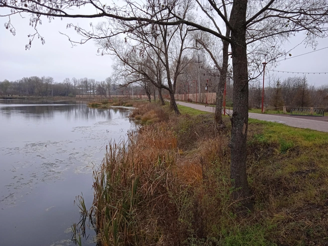 Барыш Ульяновской области рискует надолго остаться без очистных сооружений | Источник: Дмитрий Сильнов / 173. RU