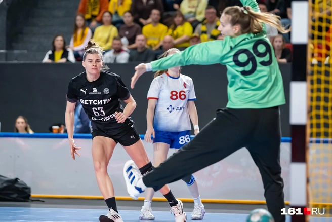 Источник: Евгений Вдовин / 161.RU