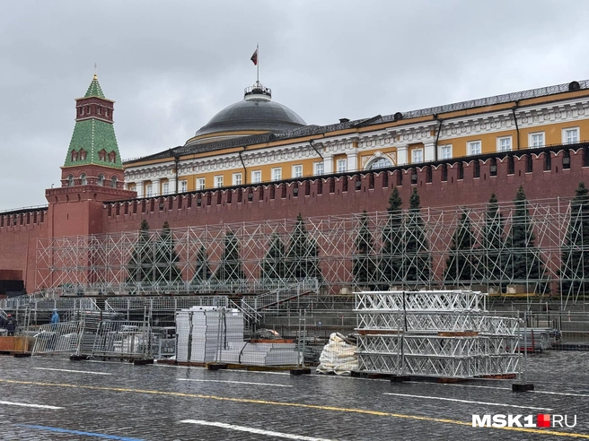 Кремлевские стены закрыли многометровые конструкции, на которых установят трибуны  | Источник: Дмитрий Толстошеев / MSK1.RU
