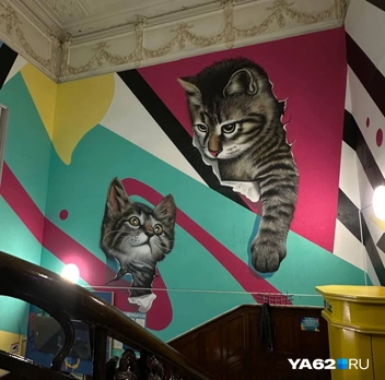 Надеюсь, в следующую поездку узнаю, почему в Казани так много котиков | Источник: Виктория Улитова / YA62.RU