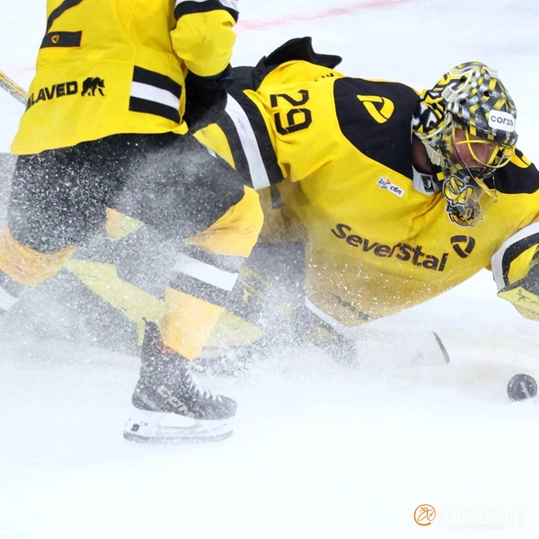 Источник: Сергей Михайличенко / «Фонтанка.ру»