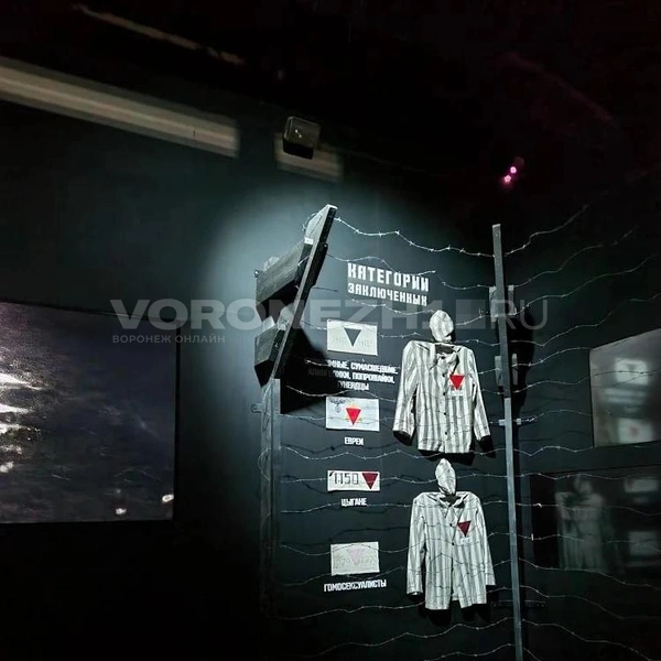 Источник: Ирина Булгакова/ Voronezh1.ru