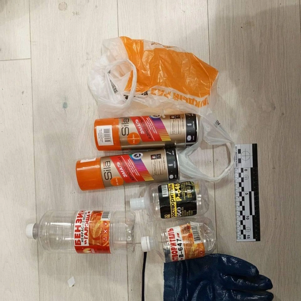 Источник: Управление на транспорте МВД России по СЗФО