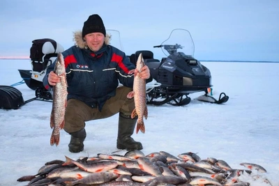 Водоемы ожили: югорские рыбаки закрыли сезон с уловом