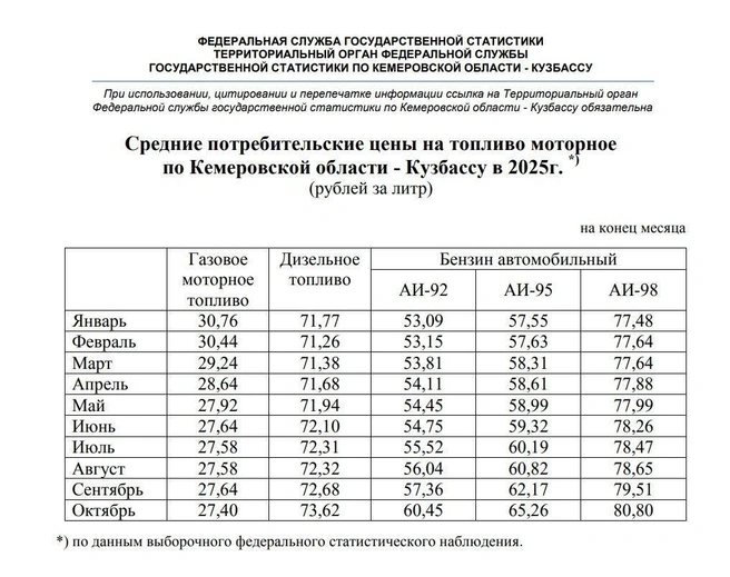 В ведомстве уточнили, что приведенные цифры отражают средние значения, а разброс цен на различных АЗС может составлять несколько рублей | Источник: www.city-n.ru