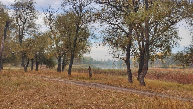 В теплое время здесь купаются как дети, так и взрослые | Источник: Ирина Голоколенова