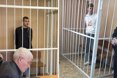 Двух омичей заключили под стражу за избиение зоозащитницы — видео