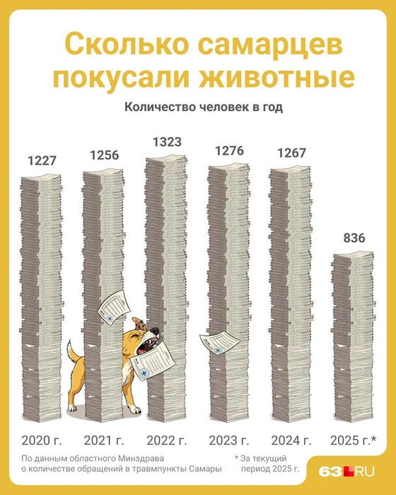 Источник: Полина Авдошина / Городские медиа