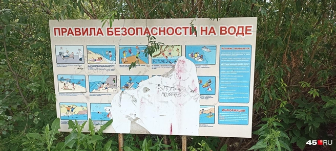 Стенд в кустах | Источник: Анна Сарапульцева / 45.RU