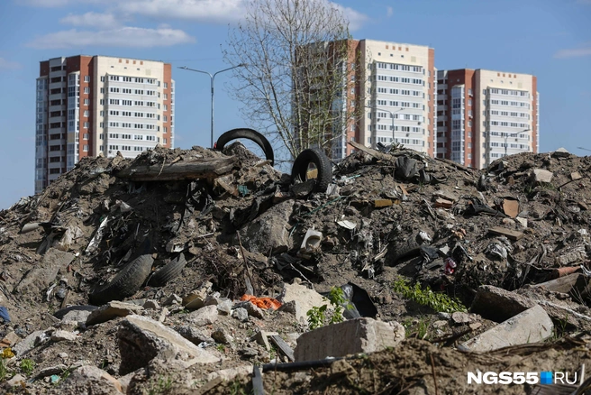В одном из районов Кемерова уже несколько лет незаконно сбрасывают мусор на пустыре | Источник: Евгений Софийчук / NGS55.RU
