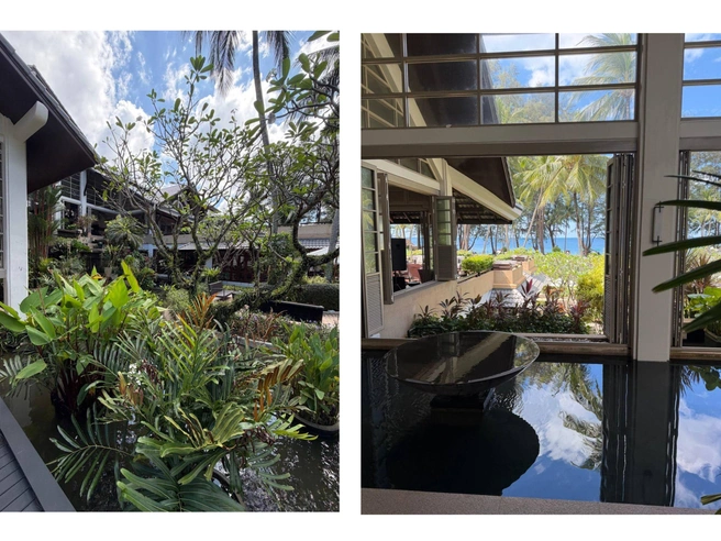 На Пхукете Марина с семьей быстро прошла контроль | Источник: читательница Марина