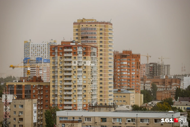 «Зелени там не место» | Источник: Евгений Вдовин / 161.RU