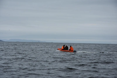 Морская коллегия РФ требует компенсацию за атаку на Arctic Metagaz