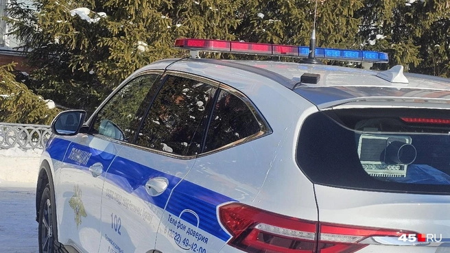 «Азимут 4» может указать на автомобили, которые в розыске | Источник: Дарья Никитченко / 45.RU