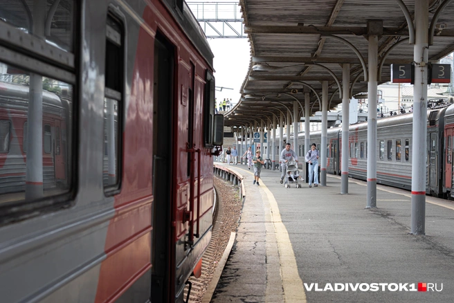 Как будет работать система, сказать сложно | Источник: Елена Буйвол / VLADIVOSTOK1.RU